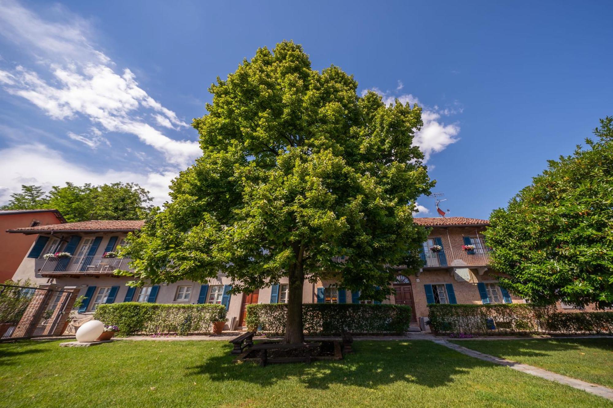 La Madernassa Resort - Casalora Dimora Storica Di Charme Guarene Exteriér fotografie